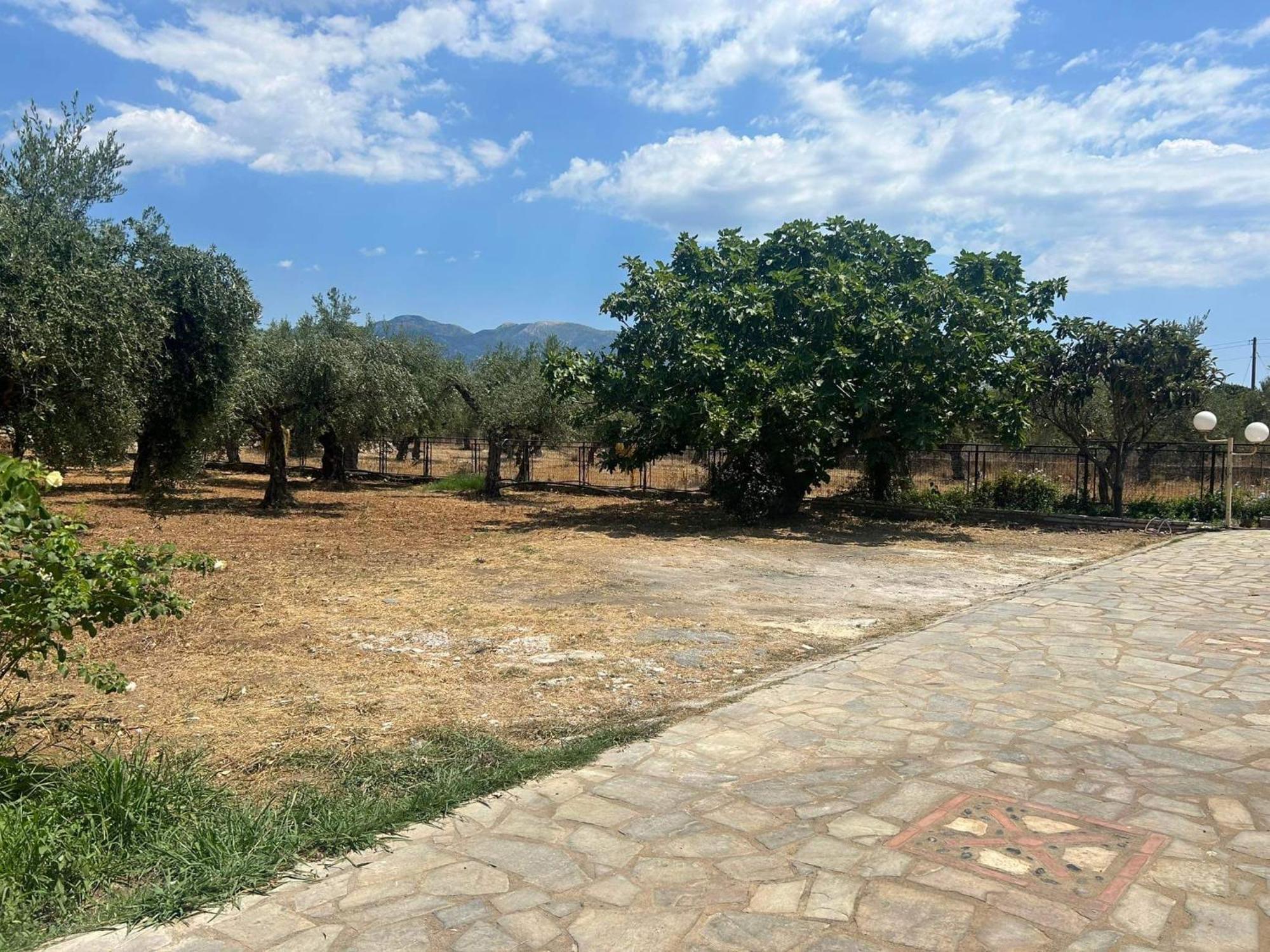 Το Πετρινο / The Petrino Apartments Stoúpa Eksteriør billede
